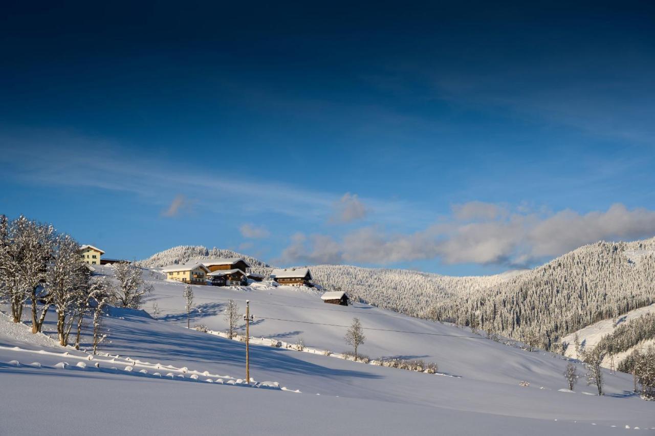 Parchenbauernhof Horner Hotel Flachau Esterno foto