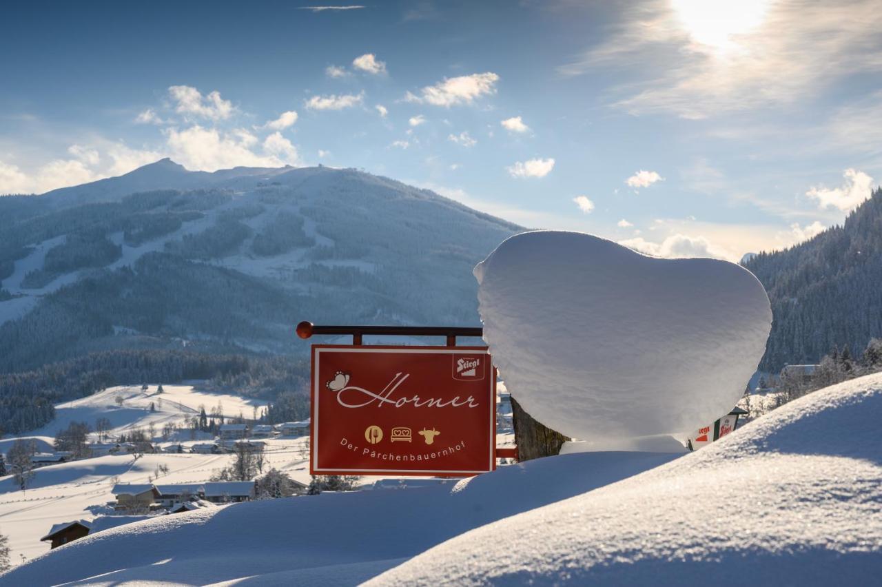 Parchenbauernhof Horner Hotel Flachau Esterno foto